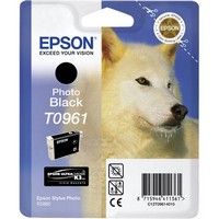 Ink Cartridge T096 Photo Black for Stylus Photo R2880