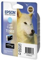 Ink Cartridge T096 Light Cyan for Stylus Photo R2880